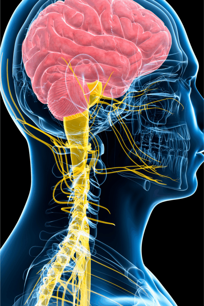 Pacific Yoga & Fitness, online yoga instructor, shares The Mind-Body Science Behind Yoga For Stress Relief.